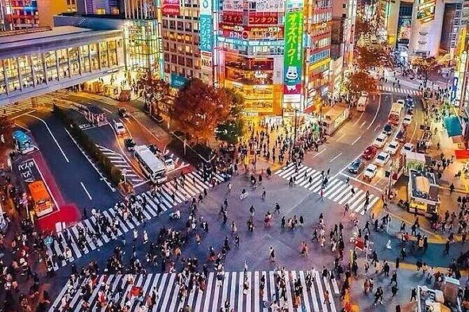 Tokyo Private Tour with an English speaking driver - Practical Details and What Travelers Should Know