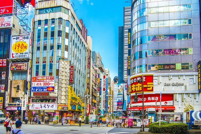 Tokyo: Shinjuku & Shibuya Walking Tour City Highlights - What Are the Key Highlights?