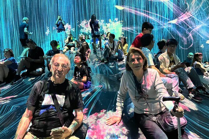Tokyo tour and transfer to Yokohama port for cruise travelers - The Overall Experience and Value