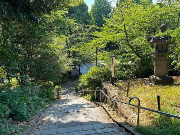 Tokyo: Ueno Park and Ameyoko Street Walking Tour - Who Is This Tour Best For?