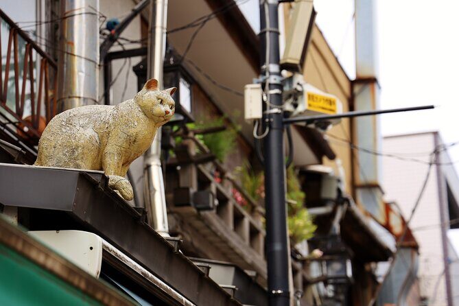 Tokyo Walking Tour of Historic Shopping Streets Yanaka - The Authentic Experience: Who Will Love This Tour?