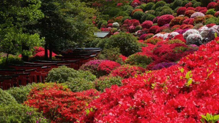 Tokyo: Yanaka & Ueno, Tokyo of Tradition Guided Tour - Why This Tour Offers Great Value