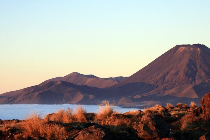 Tongariro Alpine Crossing One-Way Ketetahi Only Private Carpark - Why Choose This Shuttle Service?