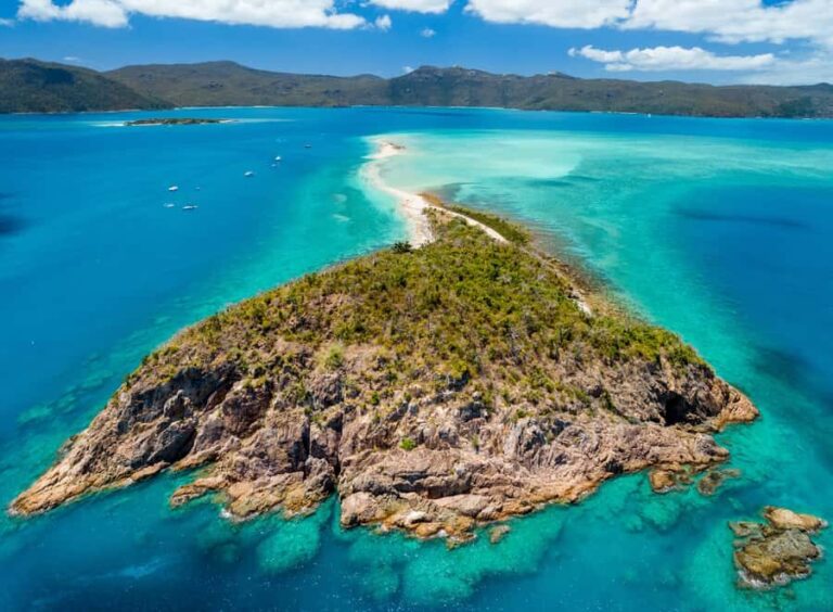 Tongarra: All-Inclusive Day Sail - Comfort and Convenience: What Bumps Are There?