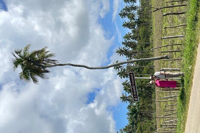 Tongatapu West Coast N East Coast Island Tour - Who Should Book This Tour?
