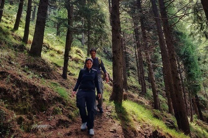 Top Tibba Trek - Mussoorie - Why This Trek Offers Good Value