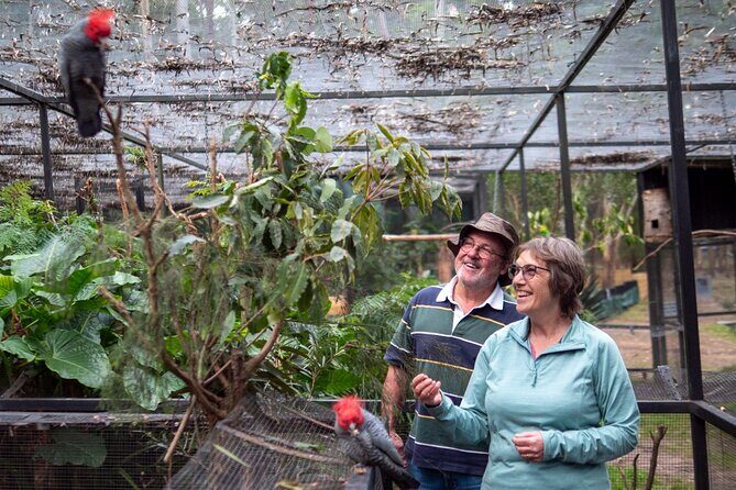 Tour from Eden to Merimbula Wetlands Wildlife and Coastline - Practical Details and What You Can Expect