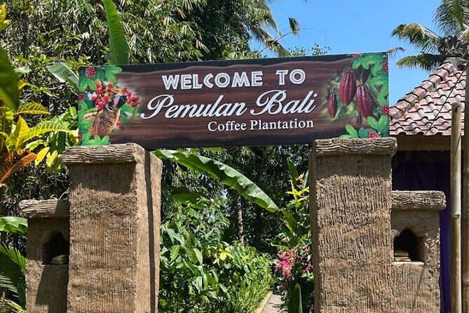 Tour in Ubud with a Private Driver - Bangkiang Jaran Waterfall & Hidden Canyon