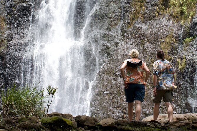 Tour Tahiti in Private - Why Travelers Love This Tour