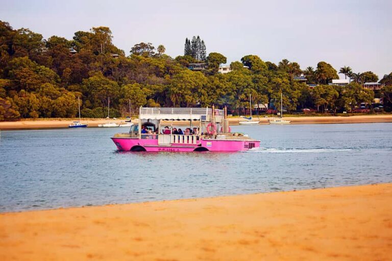 Town 1770: Afternoon Coastline Tour - The Value of a Short Yet Sweet Adventure
