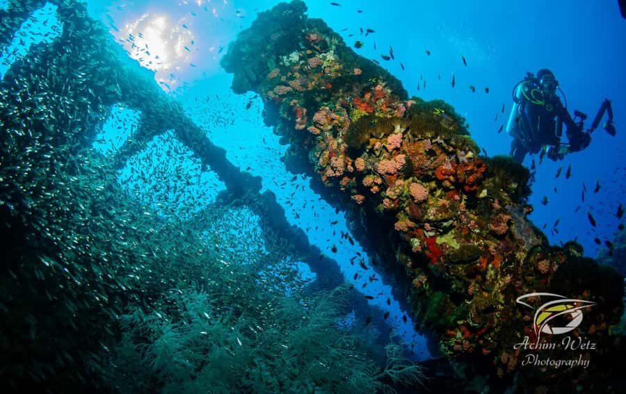 Townsville or Magnetic Island: Yongala Wreck Dive Day Trip - Who Will Find This Tour Most Valuable?
