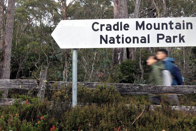 Transfer from Launceston to Cradle Mountain - What to Expect on the Day of Your Transfer