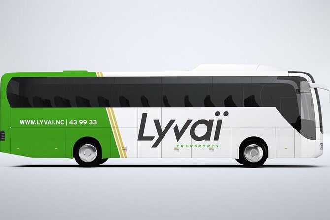 Transfer to the Magenta domestic Airport - Why This Transfer Service Excels