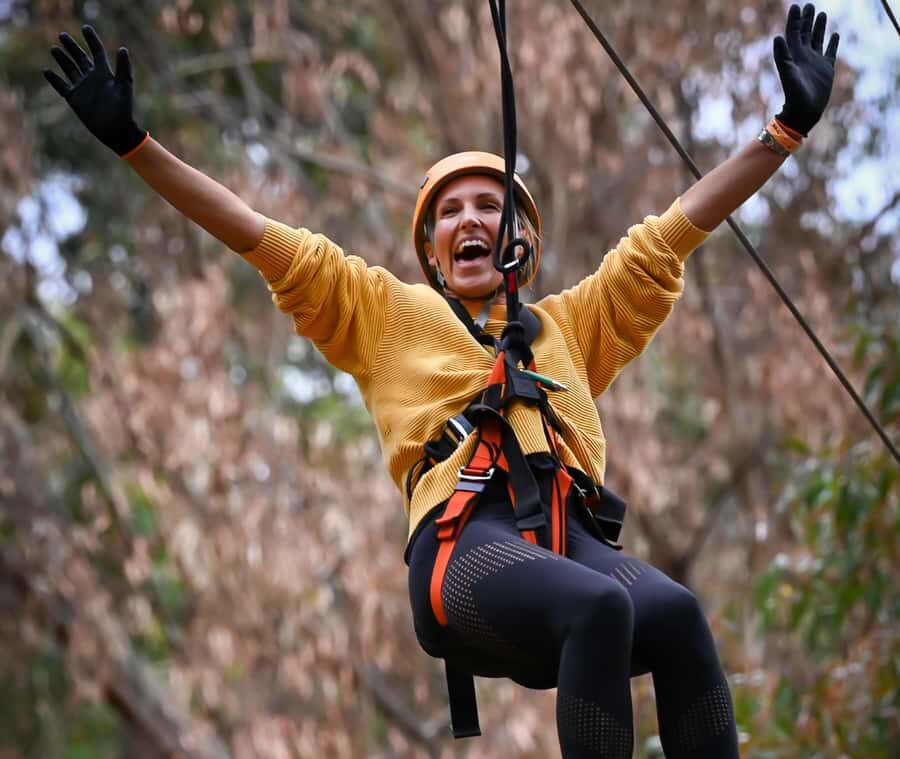 TreeClimb Kuitpo Forest: Exciting Treetop Climbing Adventure - Discovering the Thrill at TreeClimb Kuitpo Forest