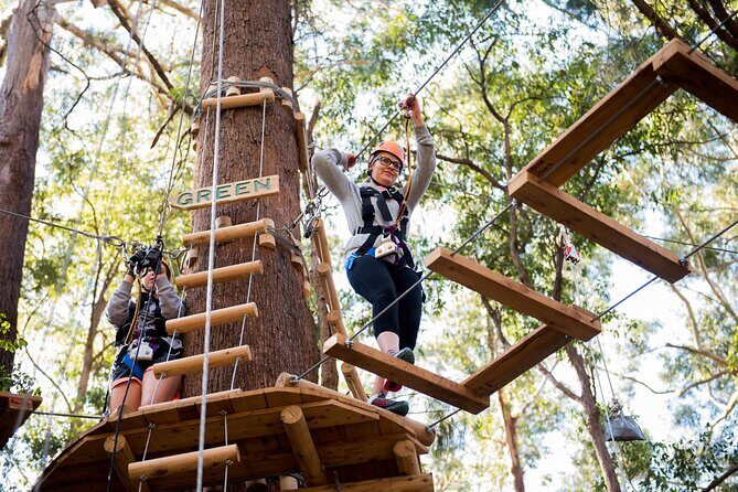 Treetops Adventure Coffs Harbour Tree Ropes Course - Who Should Consider This Tour?