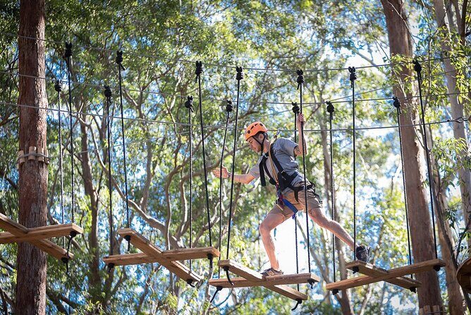 Treetops Adventure The Hills - Tree Ropes Course - The Sum Up