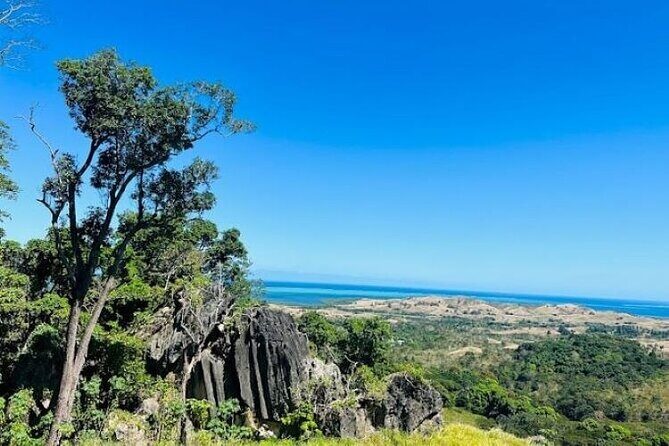 Treetops Fiji Zipline Tour with Drop off Transfer to Nadi Airport - An In-Depth Look at the Treetops Fiji Zipline Experience