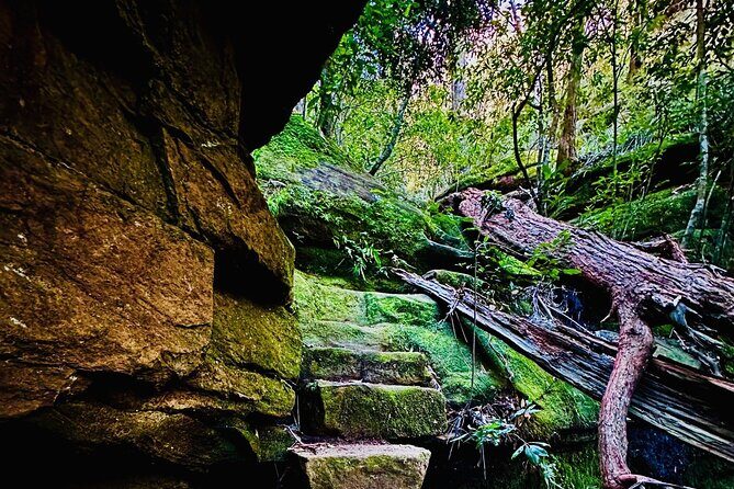 Trek Shoot and Soothe Hiking Tour from Springwood Blue Mountains - The Practicalities: What to Know Before You Go