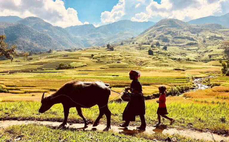 Trekking and Motorbike full day in Mu Cang Chai - Why This Tour Is a Great Choice