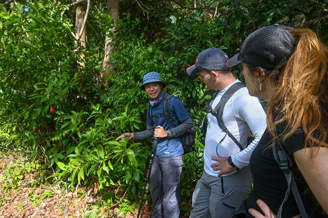 Trekking Tien Son Dinh Phu Quoc - What the Reviews Say