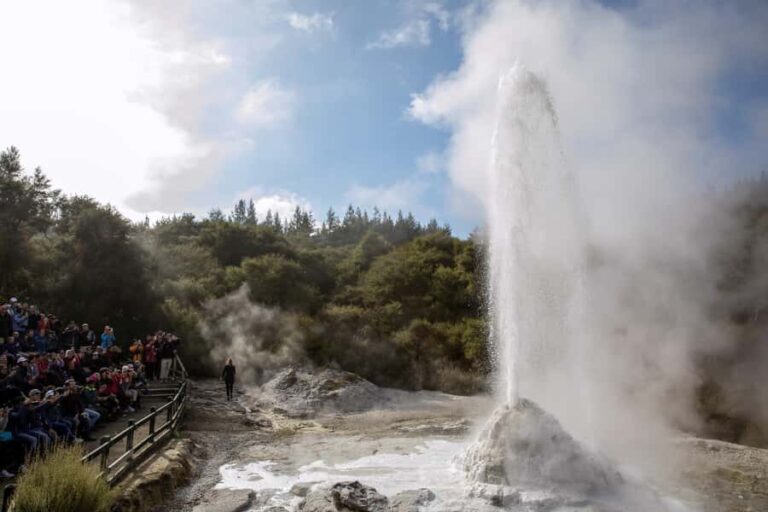 TRIPLE DEAL Wai-O-Tapu, Redwood & Blue Spring from Auckland - What the Reviews Say