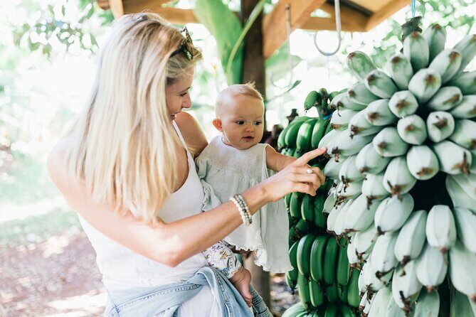 Tropical Fruit World Farm Full Tour - What Travelers Say: Authentic Feedback