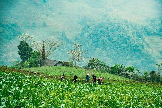 True North Ha Giang Loop Motorbike Tour 4 Days of Adventures - Final Thoughts: Is the Ha Giang Loop Motorbike Tour Worth It?
