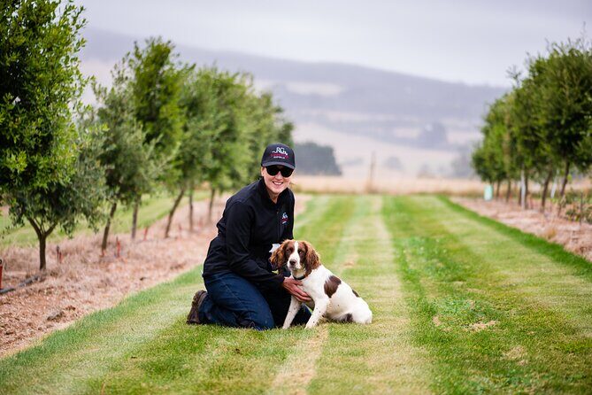 Truffle Hunt and Taste Experience in Oberon, NSW Australia - Who Will Love This Tour?