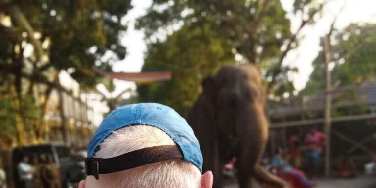Tuk Colombo City Tour with Food and Drinks - Summary: The Value of a Colombo Tuk Tuk Tour