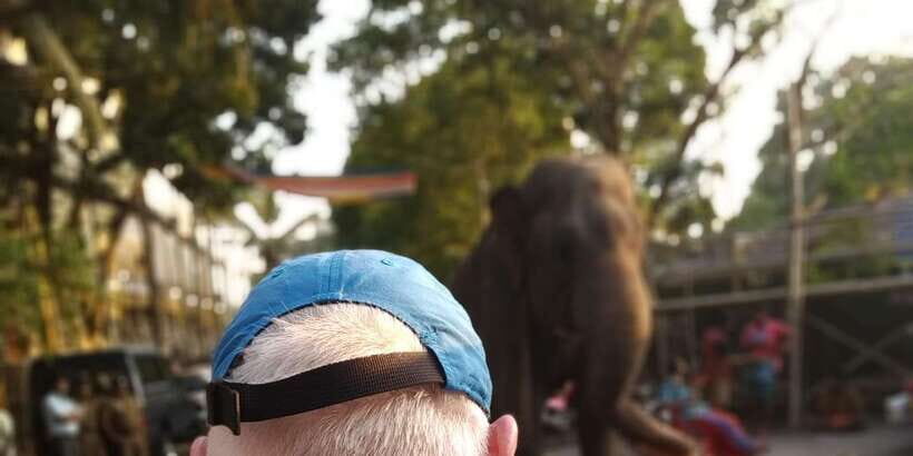 Tuk Colombo City Tour with Food and Drinks - Summary: The Value of a Colombo Tuk Tuk Tour