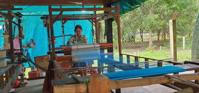 Tuk-Tuk Tour to Silk Island & Udong Mountain - Who Will Love This Tour?
