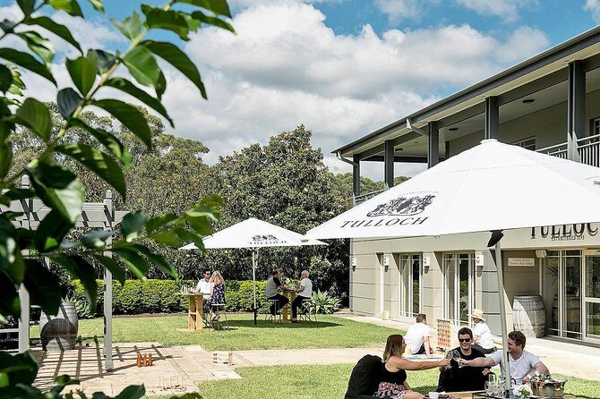Tulloch Wines- Tasting of 6 Pokolbin Dry Red Shiraz Vintages with Charcuterie - The Itinerary: What to Expect