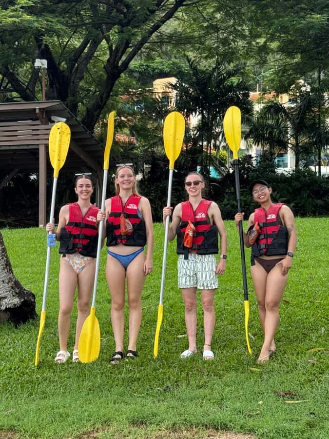 Turtle spotting-Double kayak hire Shingley beach - The Wildlife and the Real Chances of Spotting Turtles & Rays