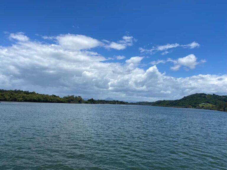 Tweed River Cruise: relax with a Morning Tea cruise - The Scenic Highlights and Why They Matter