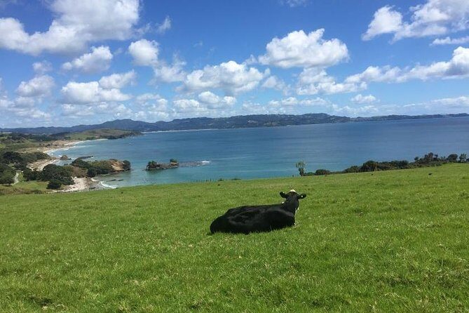 Twharanui- Get away from it all and experience New Zealand at its best - private tour - Key Points