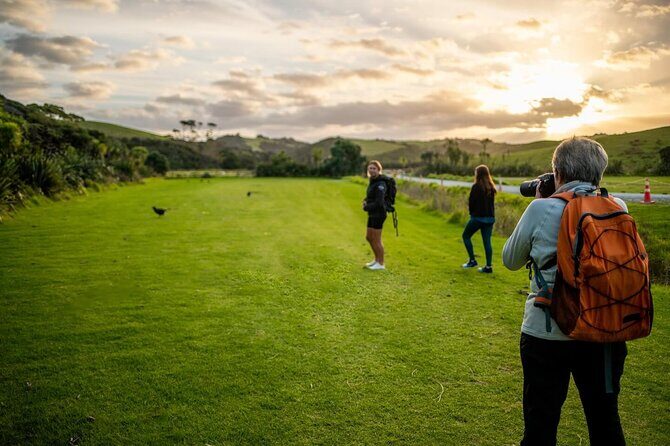 Twilight Wild Kiwi Bird Encounter Private Tour - The Itinerary in Detail: What You Can Expect