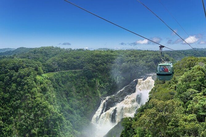Two-Days Kuranda Rainforestation + Green Island Great Barrier - Real Experiences and Honest Impressions