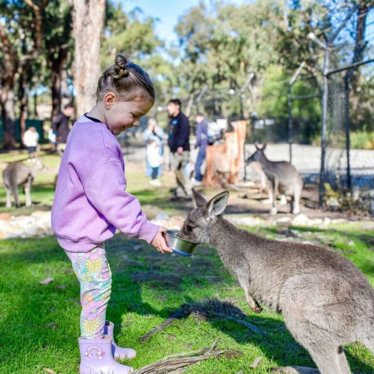 Tynong/Melbourne: Gumbuya World Theme Park Entry Ticket - Who Should Visit Gumbuya World?