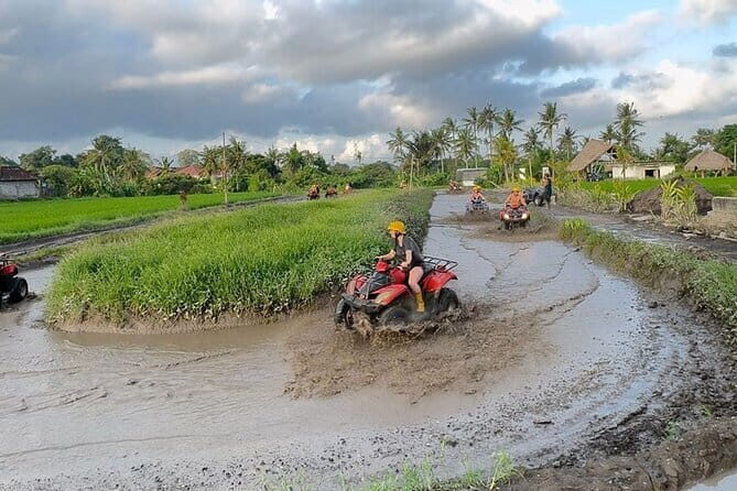 Ubud Bali ATV Quad Bike Adventure - The Sum Up
