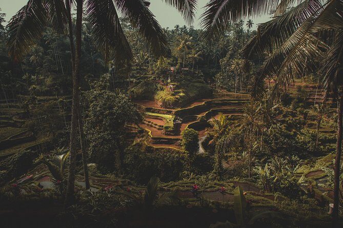 Ubud Guided Tour & Iconic Tanah Lot Temple - The Practical Side: Comfort, Cost, and Convenience