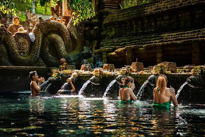 Ubud Private Full-Day Tour: Waterfall, Temples & Rice Terraces - Who Will Love This Tour?
