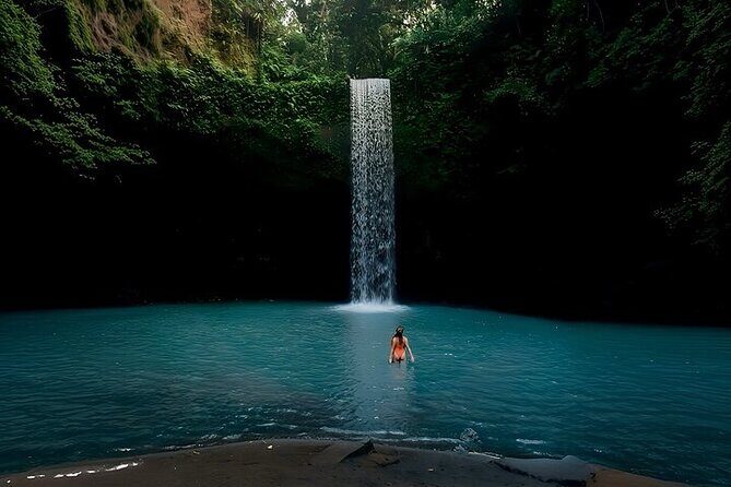 UBUD Private Tour Rice Terrace, Jungle Swing & Hidden Waterfall - The Sum Up: Who Is This Tour Best For?