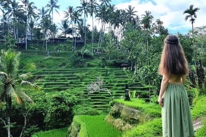 Ubud Tirta Empul Temple with Rice Terrace and Bali Jungle Swing - Authenticity and Value