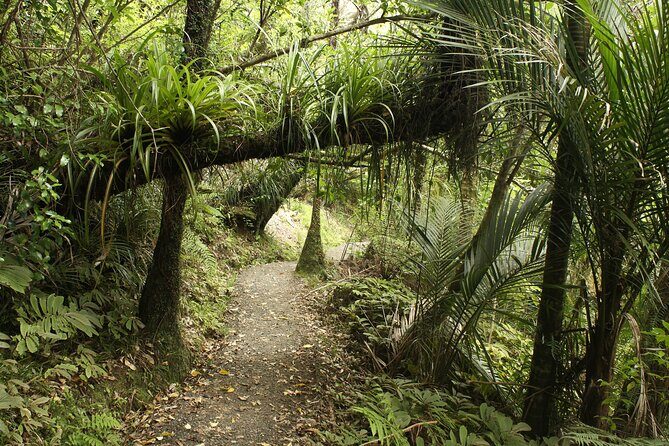 Ultimate Auckland Experience Full Day Tour with Brewery Lunch - Who Will Love This Tour?