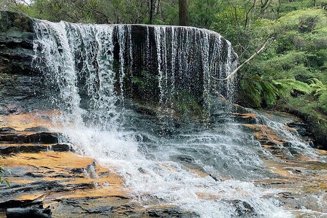 Ultimate Blue Mountains Private Tour with Scenic World and Wildlife Park - Authentic Feedback from Travelers
