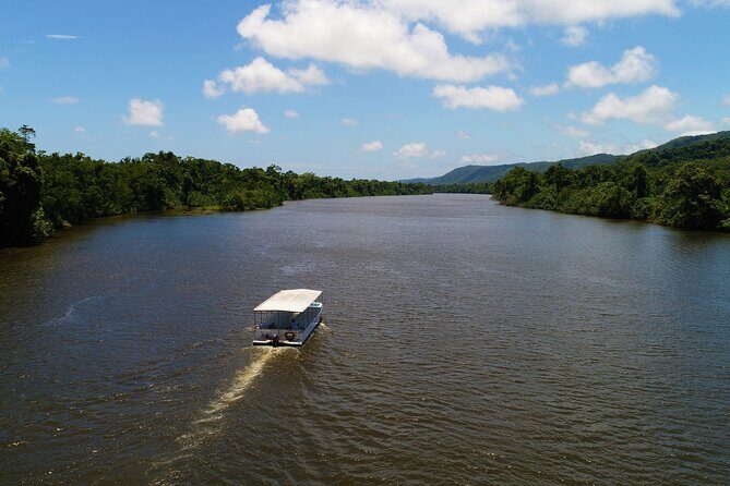 Ultimate Daintree Rainforest Wildlife Experience Cruise - The Sum Up