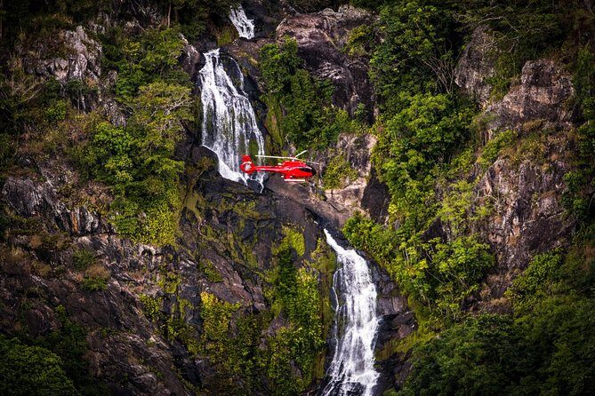 Ultimate Great Barrier Reef and Rainforest 45-minute Helicopter Tour - Who Should Consider This Tour?
