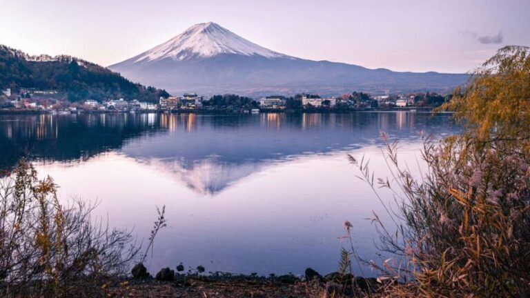 Ultimate Mt. Fuji Private Escape: Day Trip from Tokyo - The Cost and Its Value