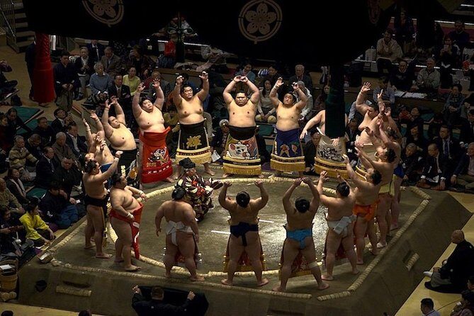 Ultimate Sumo Tournament: Tokyo, Osaka, Nagoya, Fukuoka - The Sum Up: Who Will Love This Tour?