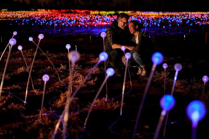 Uluru (Ayers Rock) Field of Light Sunrise Tour - What to Expect at Each Stage